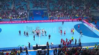 اعتداء الجمهور التونسي على لاعبي منتخب مصر لكرة اليد فى نهائي أفريقيا 