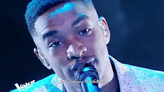 Billie Eilish | Lovely | Abi | The Voice France 2020 | Finale