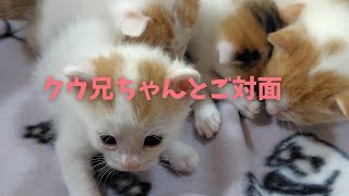 クウ兄ちゃんとご対面