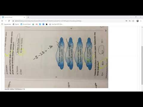 İSTEM KOLEJİ ORTAOKUL 7.SINIF PORTAL SORU ÇÖZÜMÜ-1