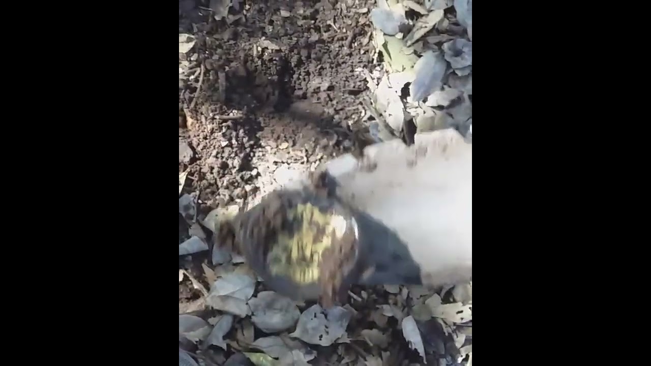 ❌✔️➡️ DETECCION de Metales,METAL detector