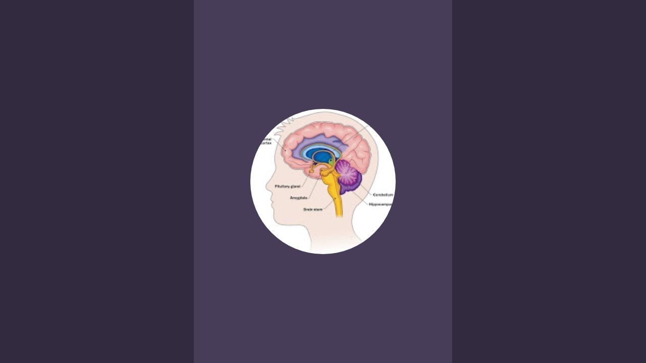 BrainByte is live - YouTube