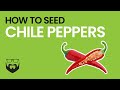 How to Cut & Seed Chile Peppers
