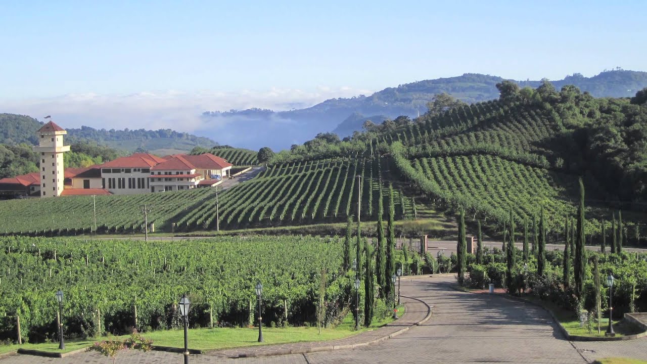 10 Best Wine Travel Destinations of 2013