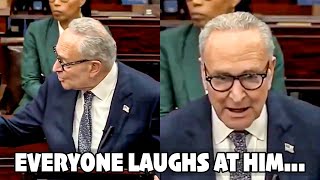 Whole Senate Floor Erupts in Laughter At Chuck Schumer&#39;s Hilarious Speech