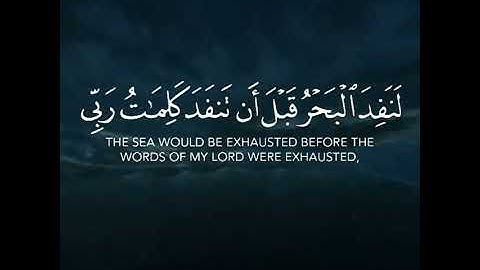 القران الكريم 537