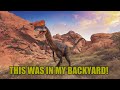 Dino Tracks/Dino Cliffs Trail, Washington, UT