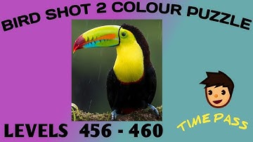 Bird sort 2 colour puzzle 🐦level 456-460#birdpuzzle#birdsortcolorpuzzle#birdshort #birdsort