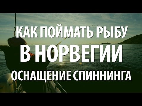 интернет магазин снастей для морской рыбалки