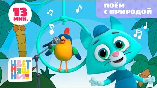 видео: Цветняшки - Поём с природой - Сборник - Развивающий мультфильм картинка: Цветняшки - Поём с природой - Сборник - Развивающий мультфильм