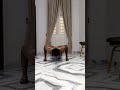 #music #calisthenics #pushupchallenge #dohardthings