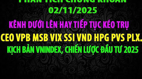 Đảo Chiều Tăng Mạnh, Tiềm Năng PLX HPG PVS VPB VCI VND SSI MSN DIG CEO HDC MSB HSG VIX GEX  VNINDEX