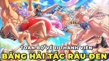 ALL IN ONE I TOÀN BỘ VỀ 11 THÀNH VIÊN BĂNG HẢI TẶC RÂU ĐEN I REVIEW ONE PIECE