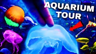 TOUCHING Jellyfish In The World's LARGEST Indoor AQUARIUM!  *INSANE*