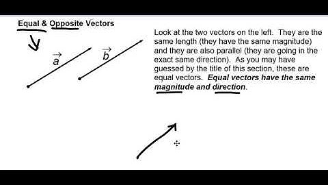 Equal and Opposite Vectors