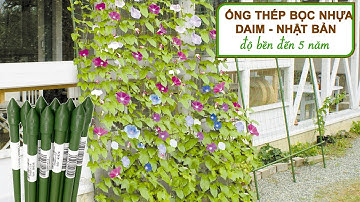 Ống thép bọc nhựa Daim, Nhật Bản, độ bền đến 5 năm, nhiều kích thước để lựa chọn