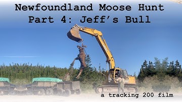 Newfoundland Moose Hunt Part 4 : Jeff