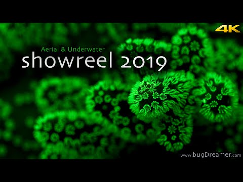 BUGDREAMER SHOWREEL 2019 | Aerial & Underwater (4k)