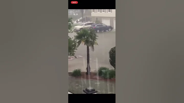 Ducks in floodwater - Kristy Kearney Caldwell