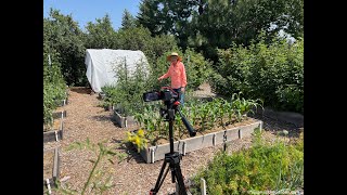 Help Me Celebrate 600 Garden Videos 2024
