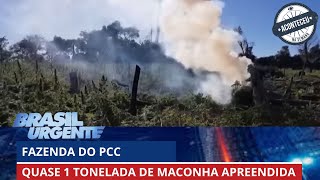 Aconteceu na Semana | Fazendas do PCC produzem toneladas de maconha