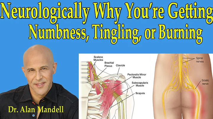 Neurologically Why You're Getting Numbness,Tingling, or Burning in Arms or Legs - Dr Mandell - DayDayNews