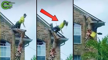 Idioten met kettingzagen: mislukte boomkap | Extreem gevaarlijke houtvrachtwagen mislukt #11