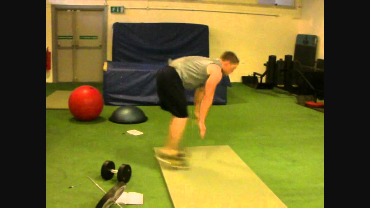 AnimalPerformance.com - GPP Circuit