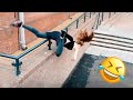 Funny  hilarious peoples life  fails memes pranks and amazing stunts by juicy lifeep 15