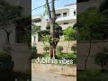 #jubileehills #hyderabadluxury #luxuryhouse #behindthescenes #bigmansions