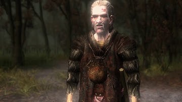 [The Witcher Enhanced Edition] Silent Playthrough - Part 22 The Swamp