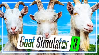 Top 10 Weirdest Simulation Video Games