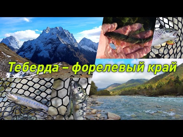 Теберда — форелевый край