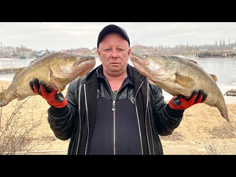 ТАКОЙ ШАШЛЫК ВЫ ТОЧНО НЕ ГОТОВИЛИ ! ЛЮЛЯ КЕБАБ ИЗ СУДАКА С КРЕВЕТКОЙ #шашлык #рыба #рецепт