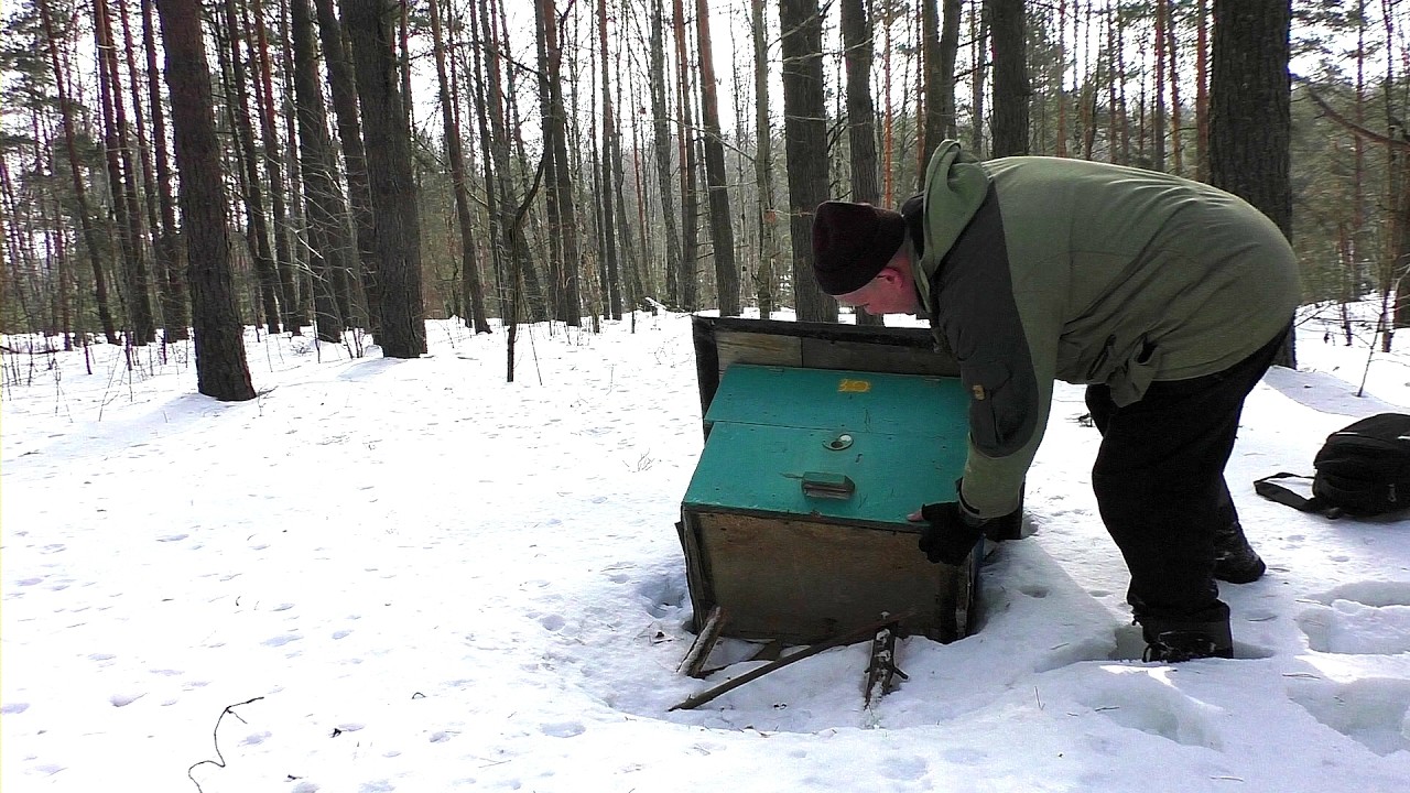 Прорвался к ним в лес спустя два месяца.