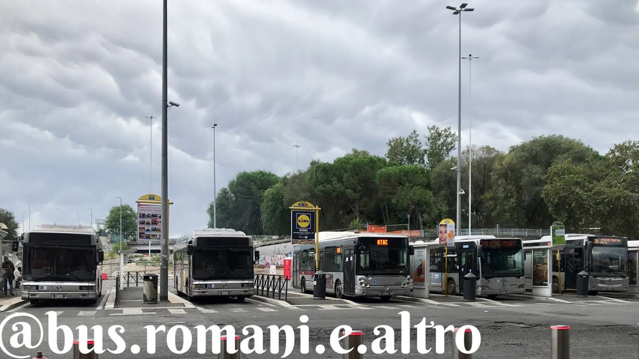 BUS A ROMA [PARTE 2] / Bus Spotting in Rome