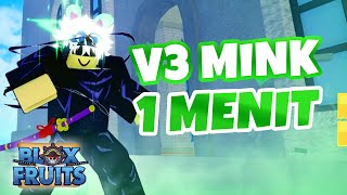 Cara V3 Mink Blox Fruits