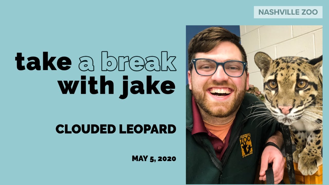 IG Live Replay: Take a Break with Jake & Hope