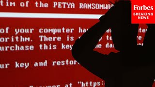 Congress Seeks To Raise Americans Awareness Around Cyber Security Measures