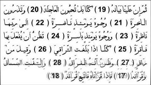 القارئ الزين محمد أحمد سورة القيامة