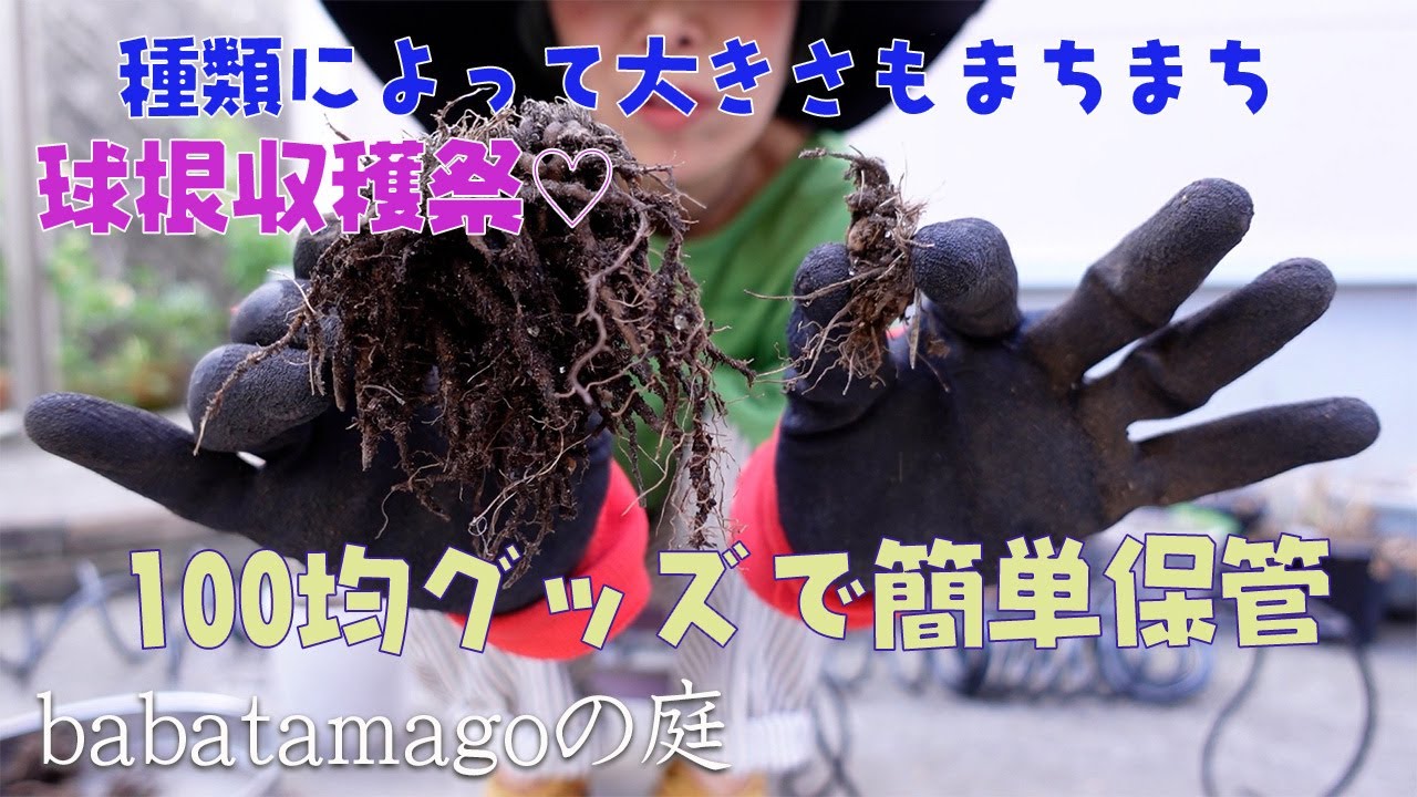 南蛮焼締 蓮葉形 蓮花蛙象嵌 掛け花生 合せ箱付 V R7084 南蛮焼締 蓮葉