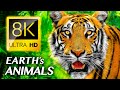 Earth&#39;s Extraordinary Animals 8K VIDEO ULTRA HD