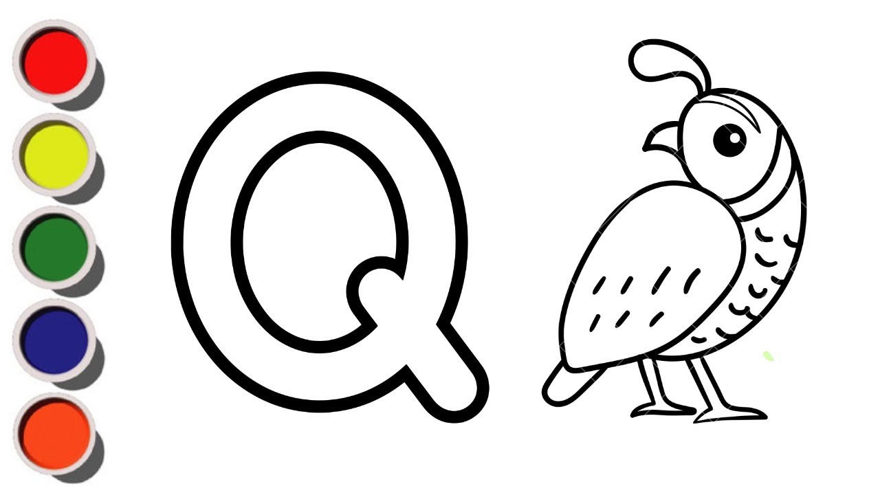 Q for Quail || Learn Letter Q || abc song || Quail drawing Easy @Kids Colorista