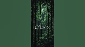 تلاوة خاشعة للقارئ ياسر الدوسري ارح سمعك #قرآن #راحة_نفسية