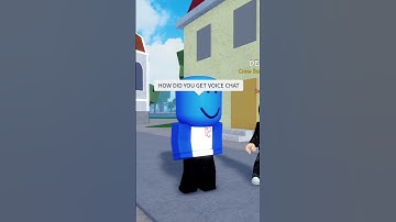 VOICE CHAT in Blox Fruits!