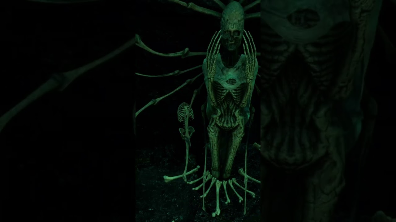 The Shore by Ares Dragonis 