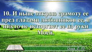 ВидеоБиблия Книга пророка Осии без музыки глава 2 Соколов