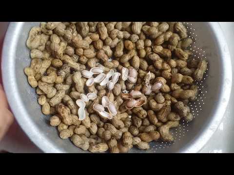Video: Cách Chần đậu Phộng