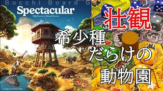 【スペクタキュラー】　複雑な要素が絡み合う、タイル配置とダイスのオープンドラフト　Spectacular Review
