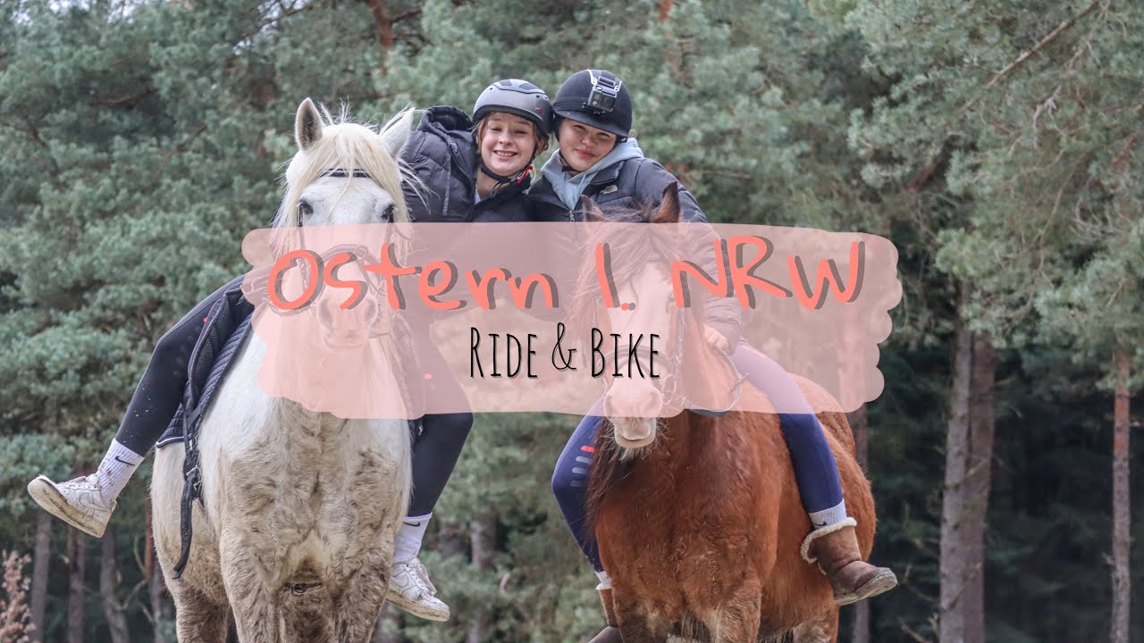 Ride And Bike Rohe